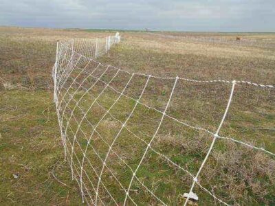Considerations for Electric Goat Fencing, Part 2 Image